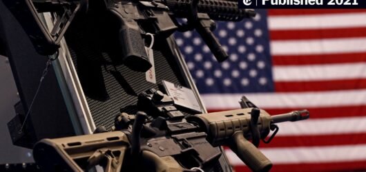 Policy Recap 16: Court dismisses Mexico’s lawsuit against U.S. gun manufacturers