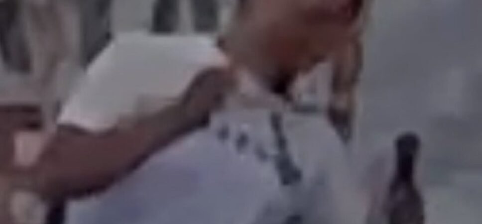 Charlie Kirk SHOT in Neck at TPA Event in Utah Valley University